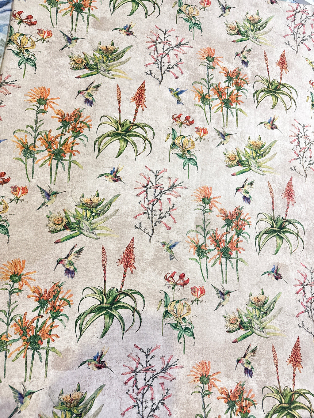 Aloe protea/ cotton beige