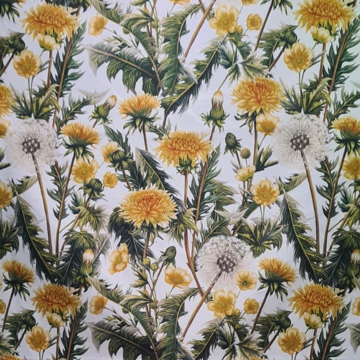 Designer Dandelion ( Velvet Touch )