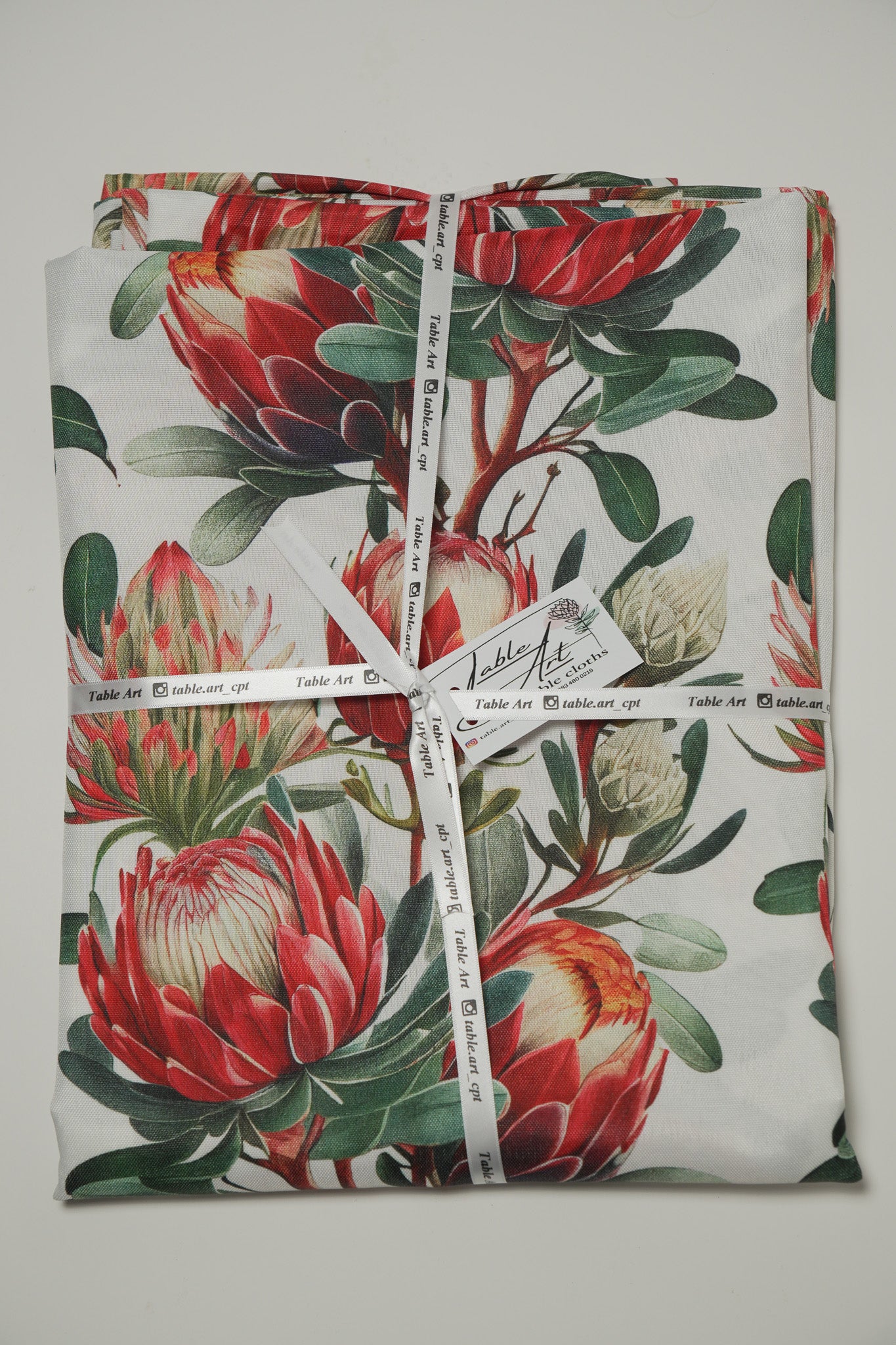 white/red protea