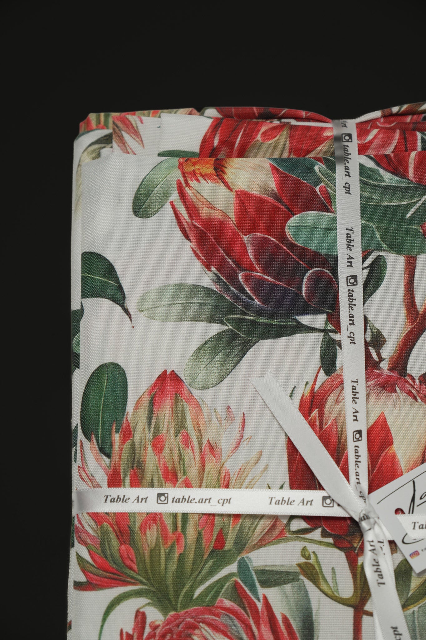 white/red protea