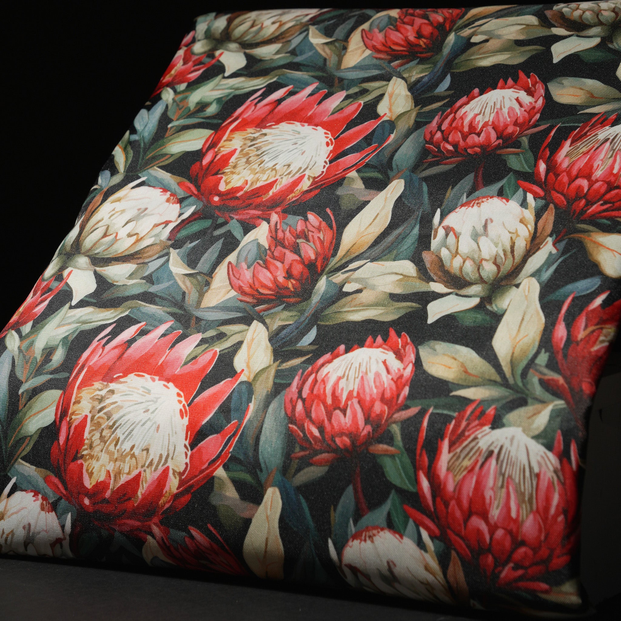 Protea fields on black
