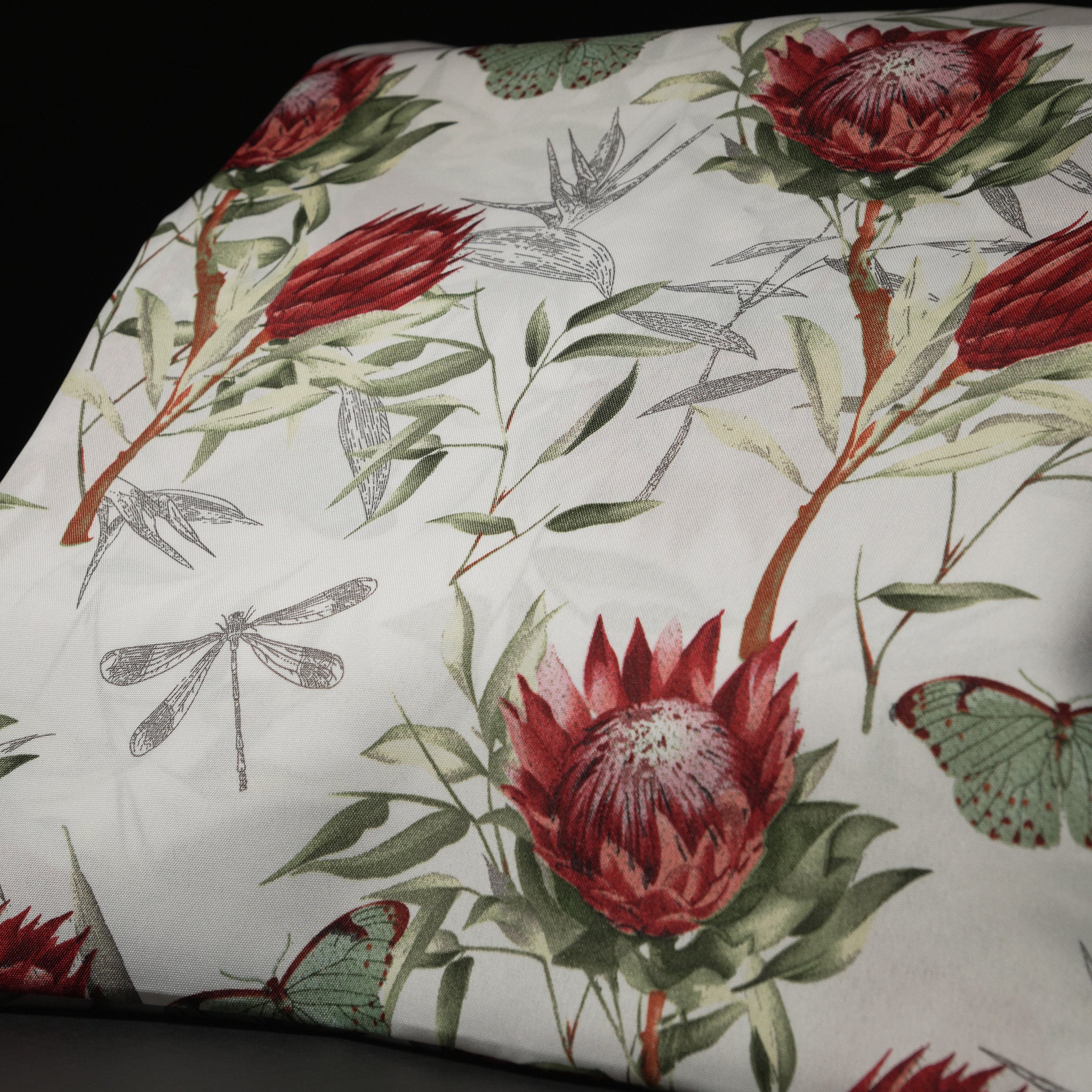 Dragonfly protea white