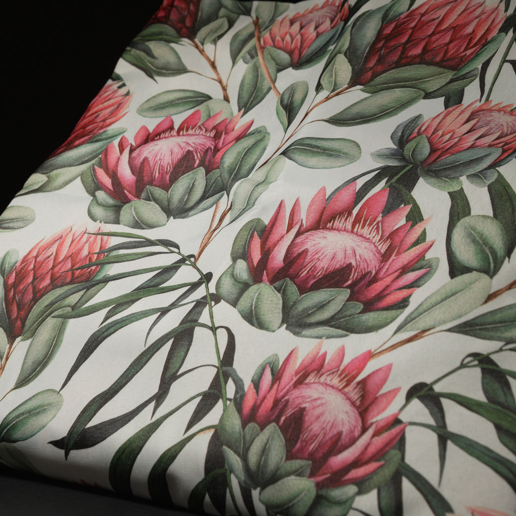 protea fields on white