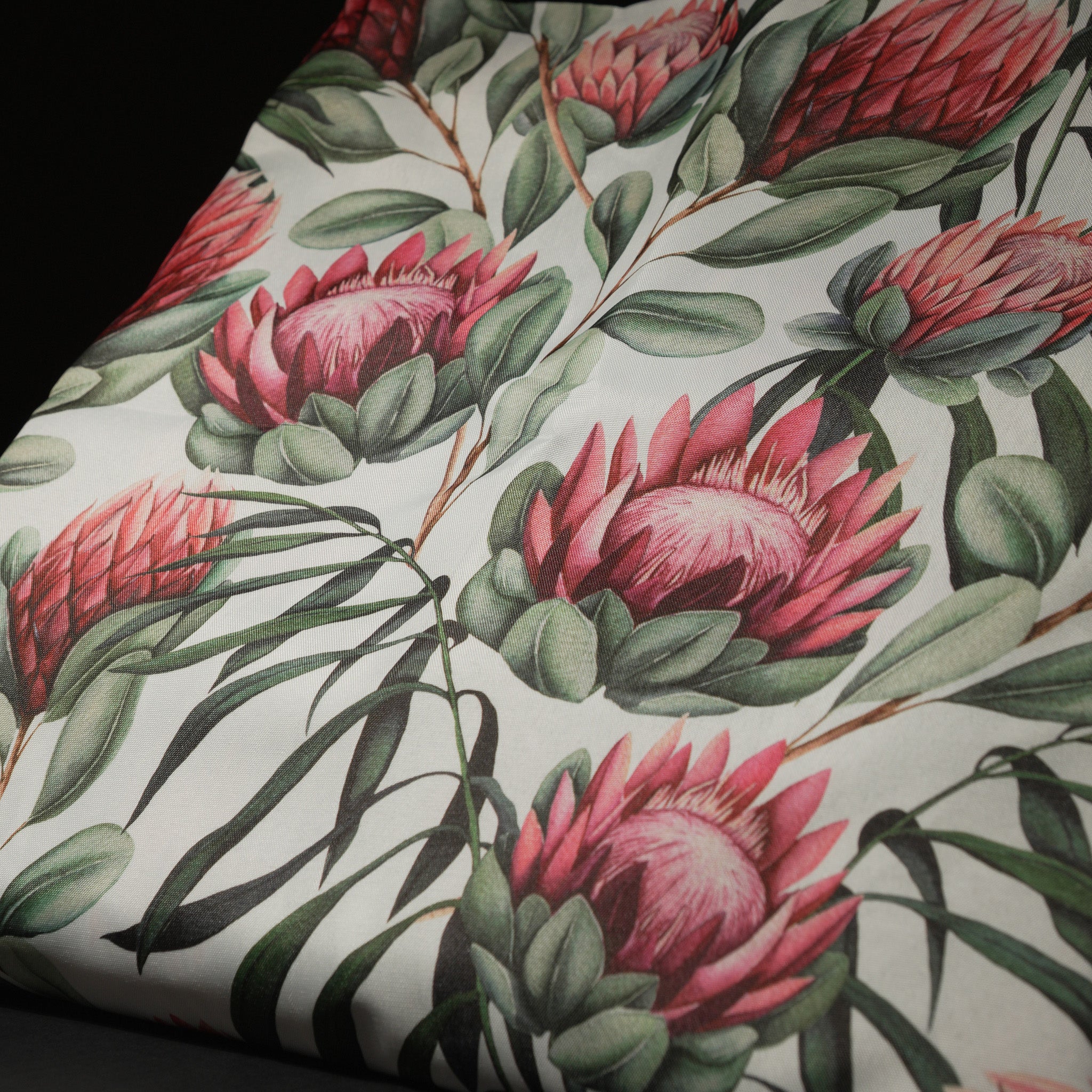 protea fields on white