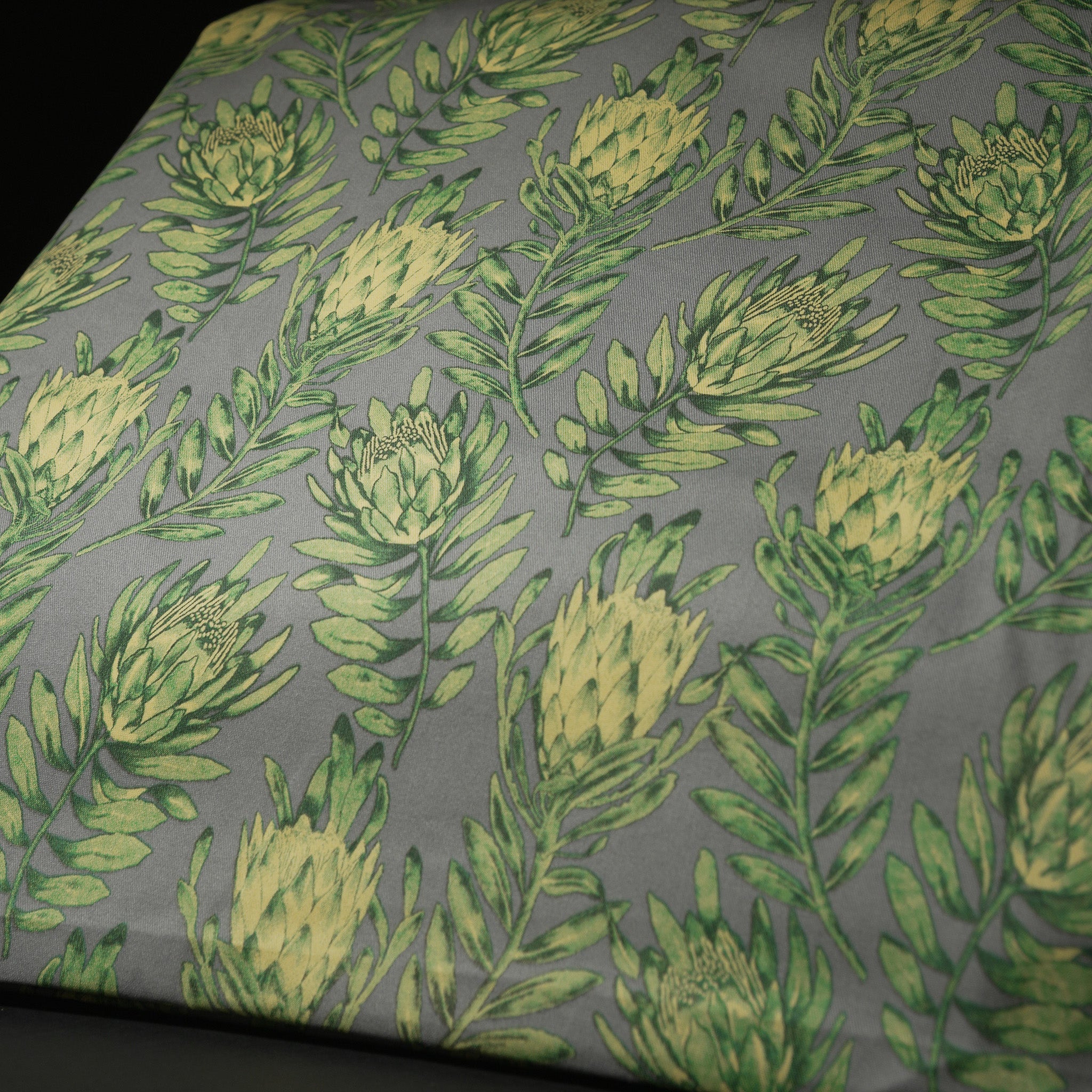 Green fynbos on grey