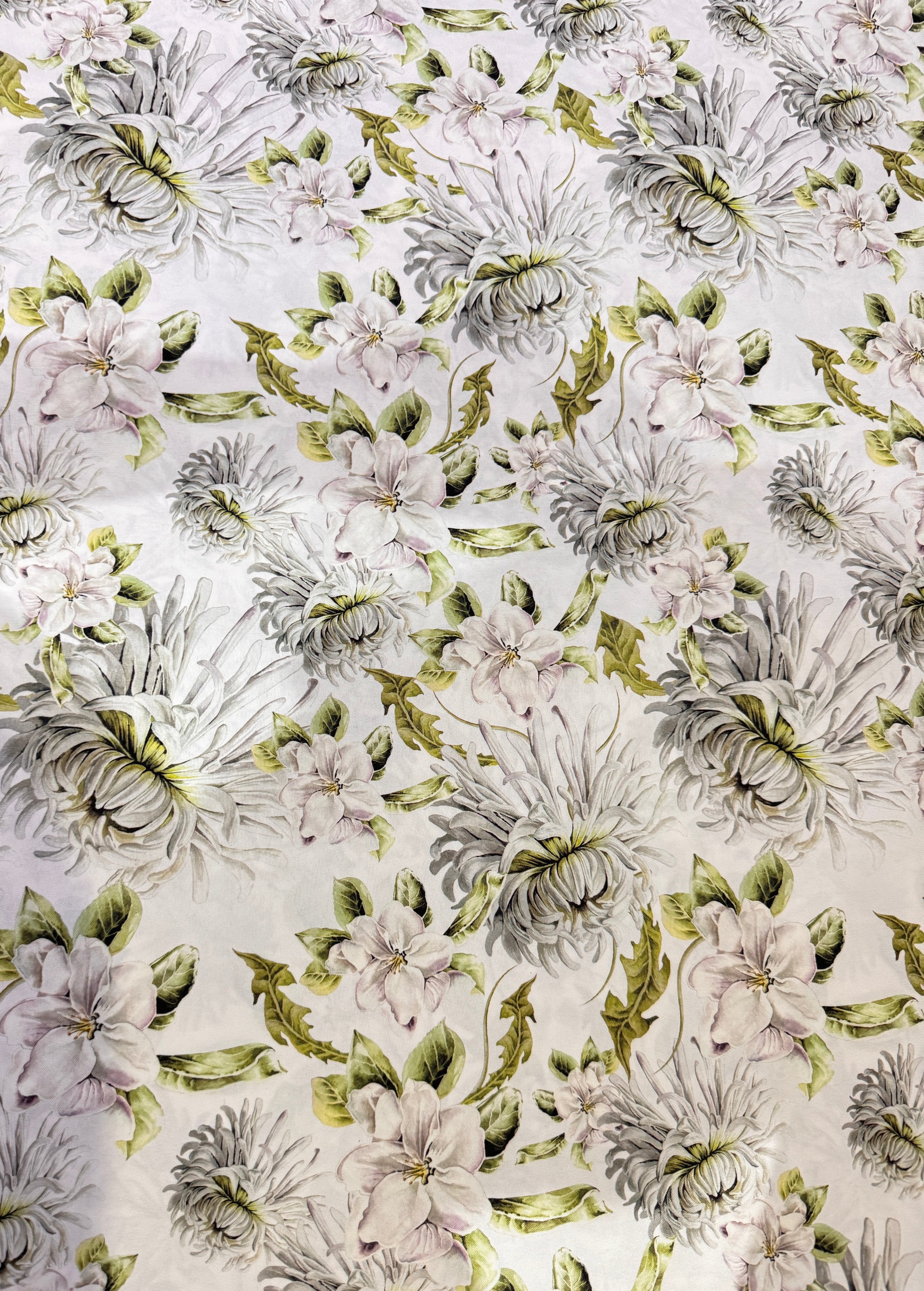 Blossom & chrysanthemums